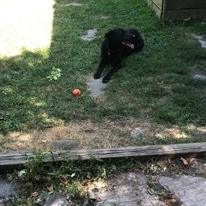 Meet your Posher, Erin